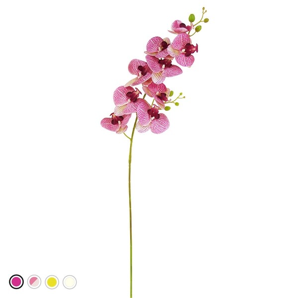 Set of 2 Natural Touch Artificial Phalaenopsis Orchid Flower Stem Tropical Spray 38.5in