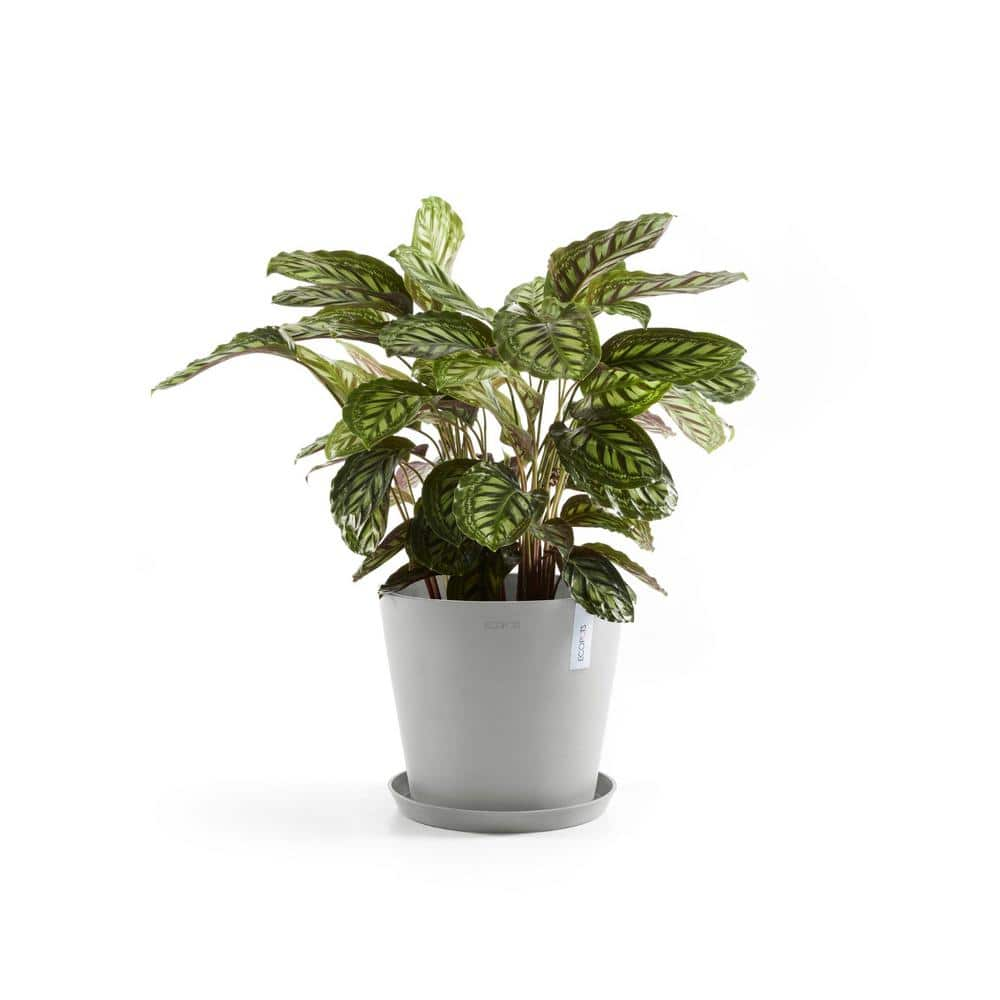 O ECOPOTS BY TPC 16 in. White Grey Premium Sustainable Planter (with Saucer) AMS.40.WG