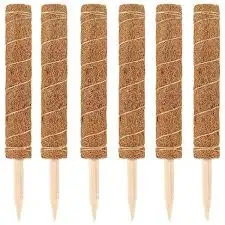 Customizable 30/40/60/80/100Cm Coco Coir Pole Sticks For Indoor Gardening