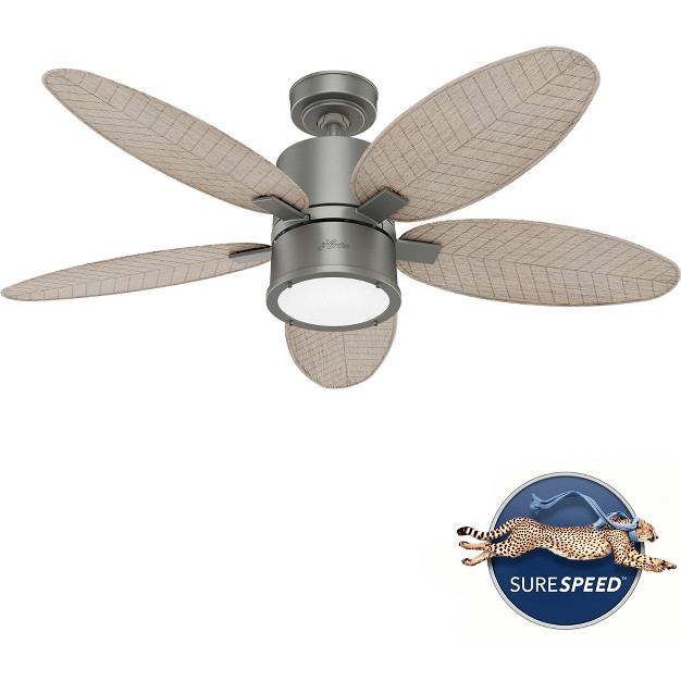 Amaryllis Outdoor Ceiling Fan With Led Light Hunter Fan