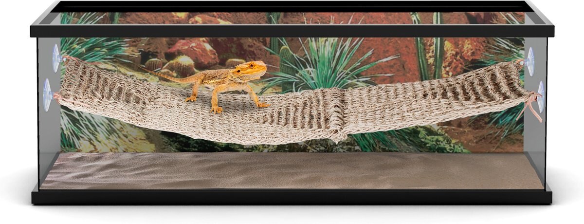 Penn-Plax Reptology Lizard Lounger Bundle， 2 piece