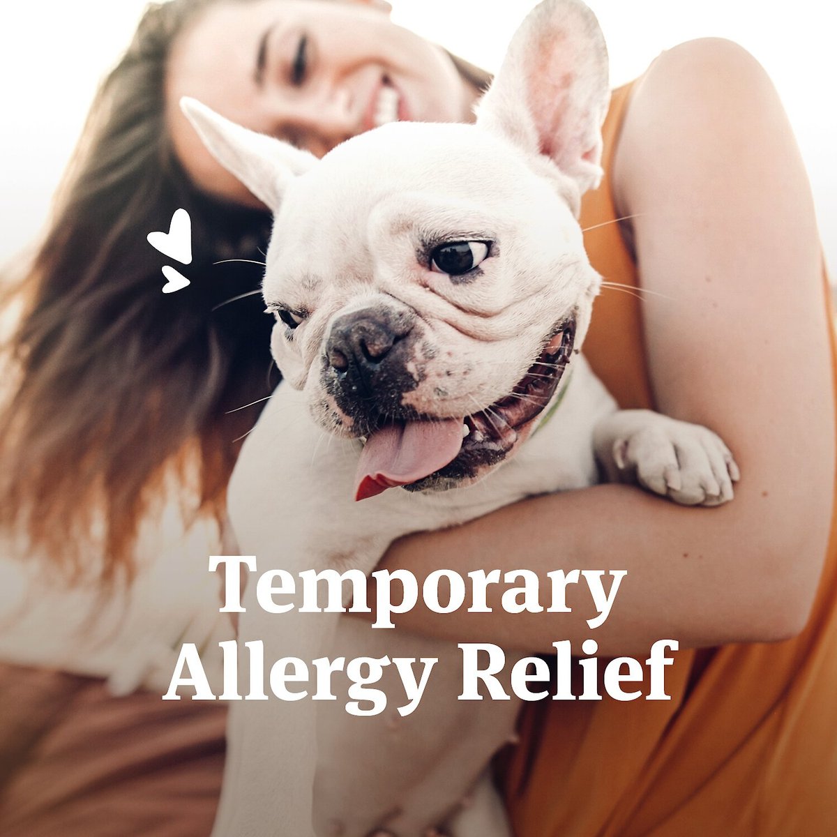 PetArmor Antihistamine Medication for Allergies for Dogs