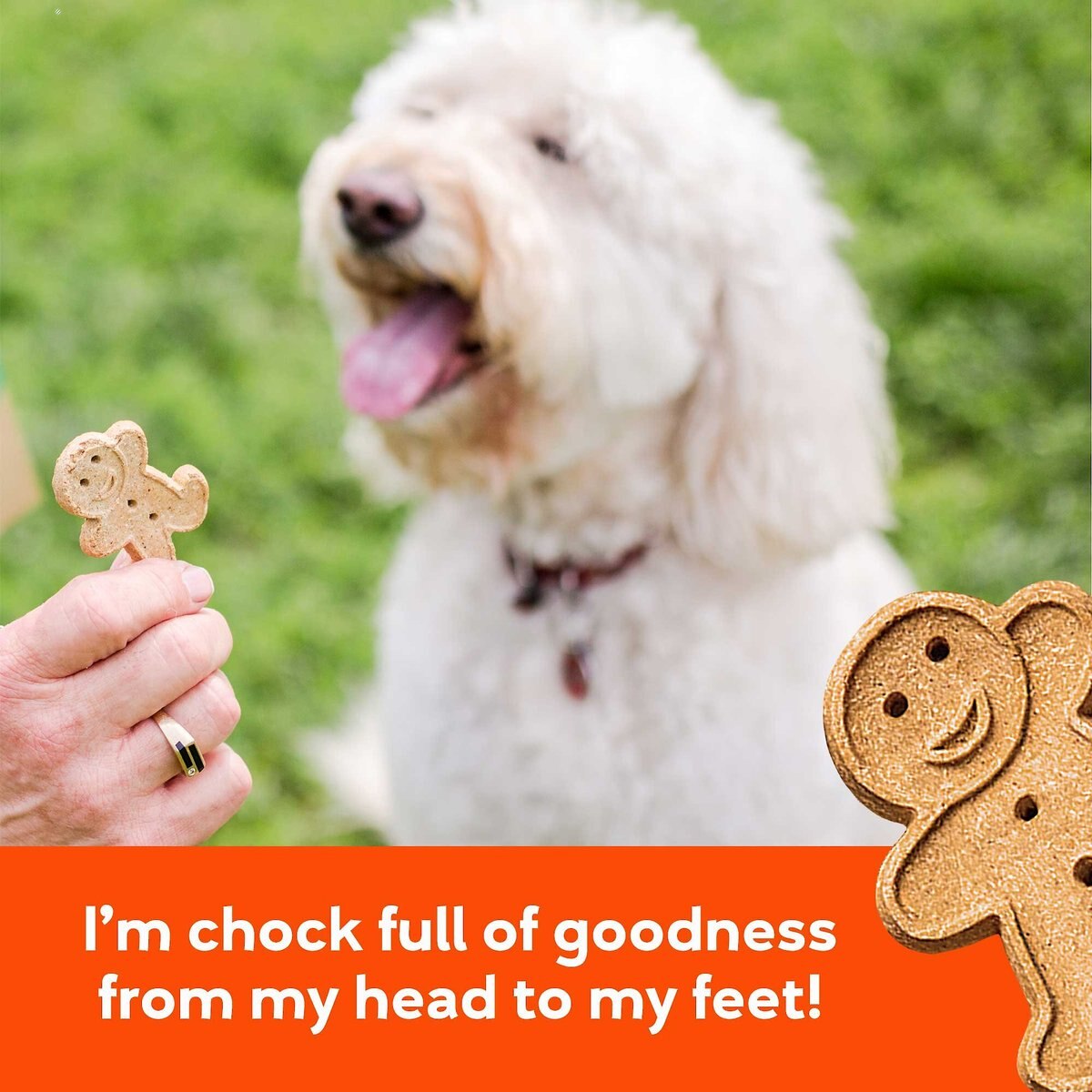 Buddy Biscuits Grain-Free Oven Baked with Homestyle Peanut Butter Dog Treats