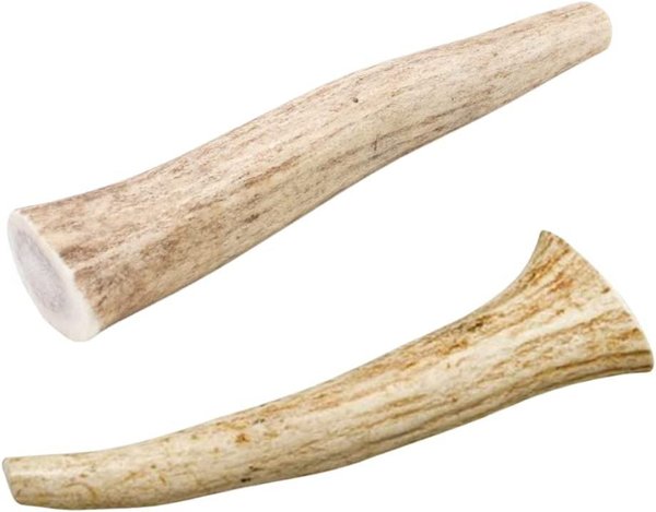 HOTSPOT PETS 7-10-inch All Natural Large Whole Deer Antler Chews Dog Treats