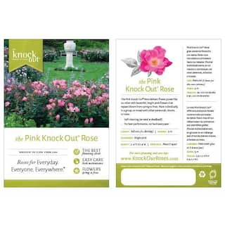 KNOCK OUT 2 Gal. Pink Knock Out Rose Bush with Pink Flowers 14472