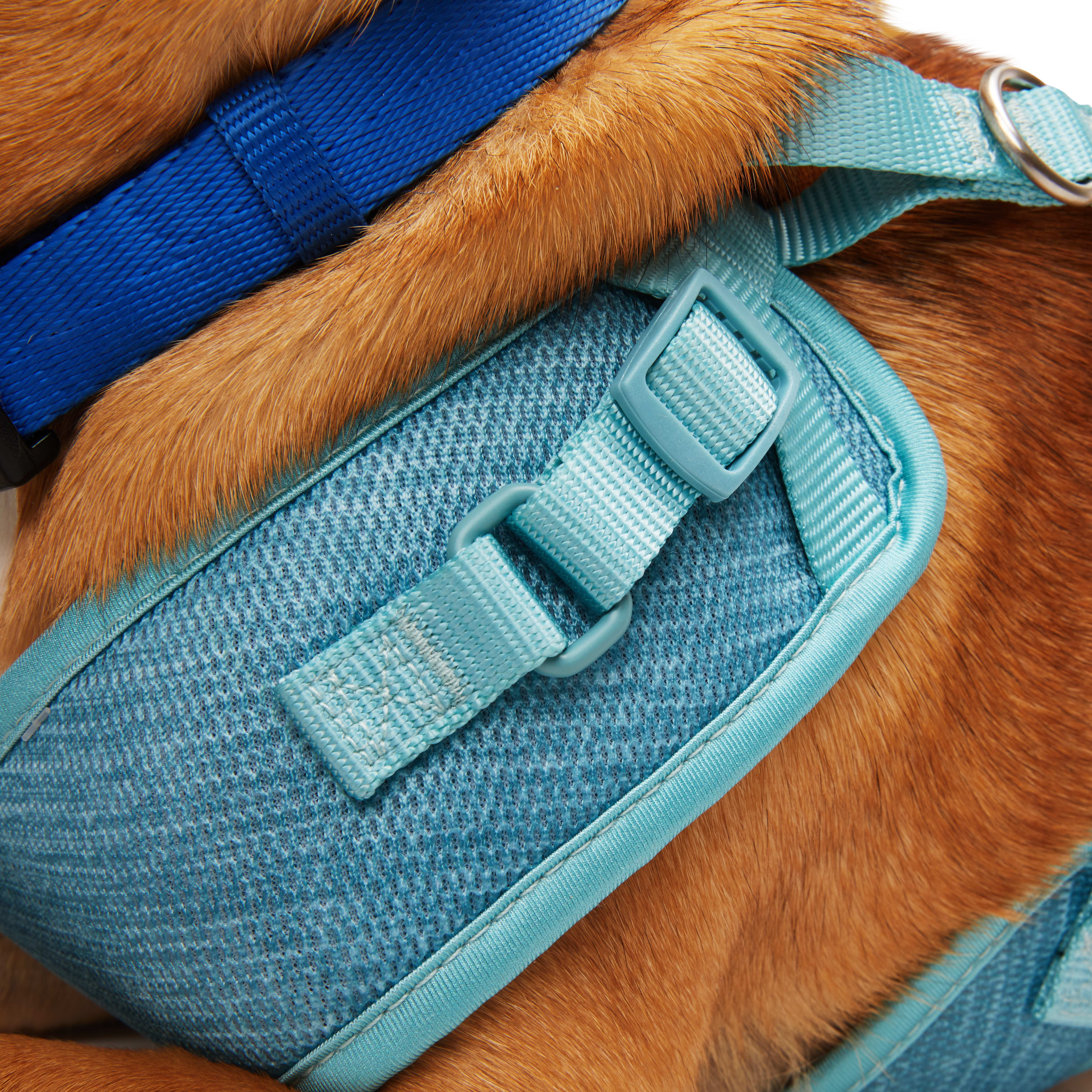 EveryYay Teal Heather Pullover Dog Harness， X-Small