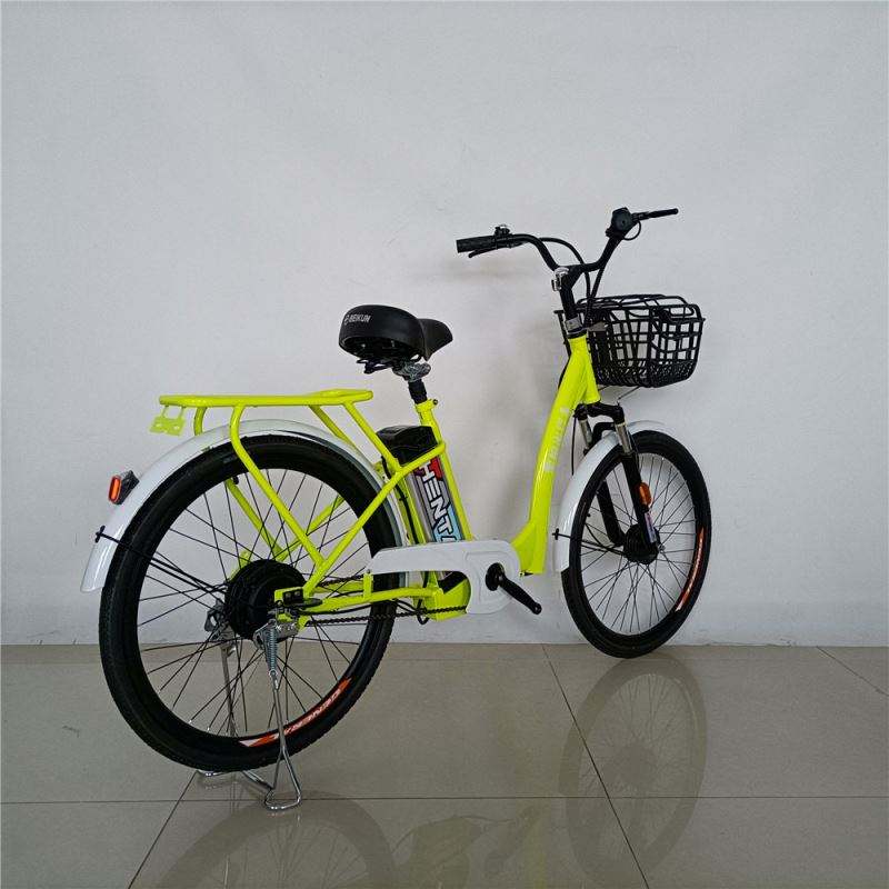 Hot Selling Buy Chinese Folding Portable Home Electric Cycle Bike