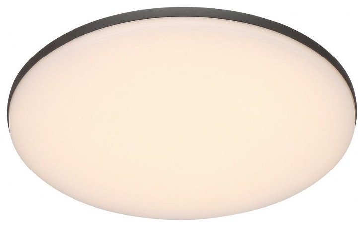 11.75 Inch 20W 1 LED Outdoor Round Surface Mount   Outdoor   Wall Mounts   Transitional   Outdoor Flush mount Ceiling Lighting   by Bailey Street Home  Houzz