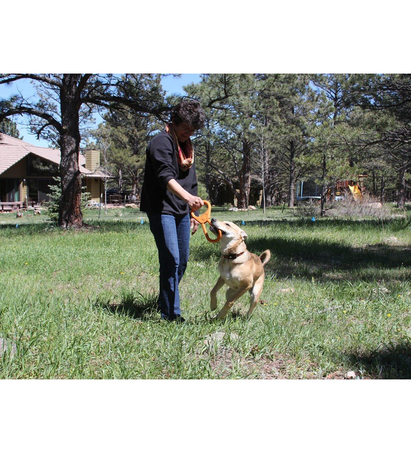 Sodapup Pop Top Tug Toy for Dogs