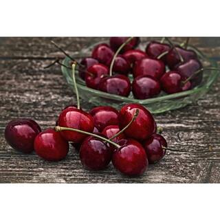 Online Orchards Dwarf Bing Cherry Tree Bare Root FTCH002