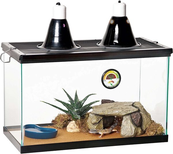 Zilla Desert Reptile Terrarium Starter Kit with Light and Heat， 10 gallon