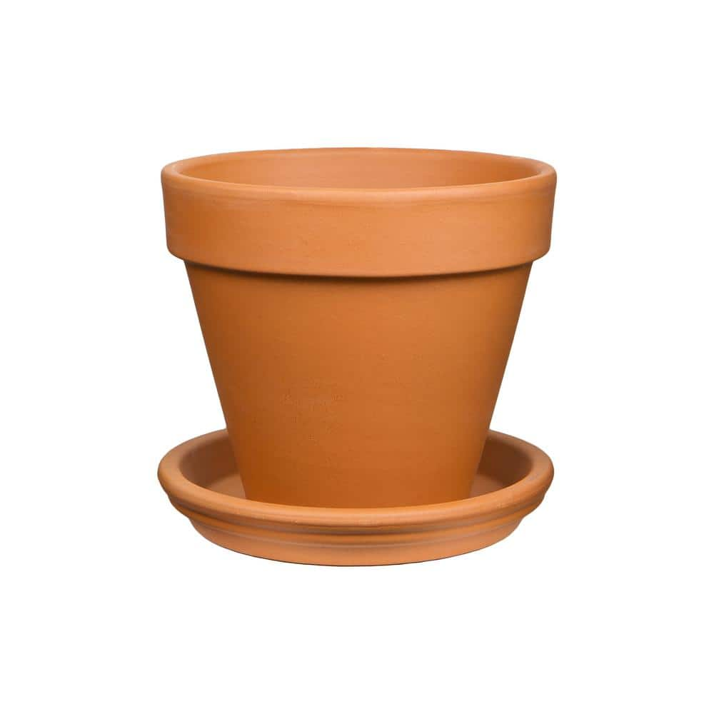 Pennington 10 in. Medium Terra Cotta Clay Saucer 100043041