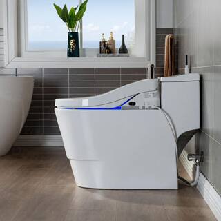 WOODBRIDGE Revel One Piece 1.1GPF1.6 GPF Dual Flush Elongated Toilet with Advance Smart Bidet Toilet in White HT737