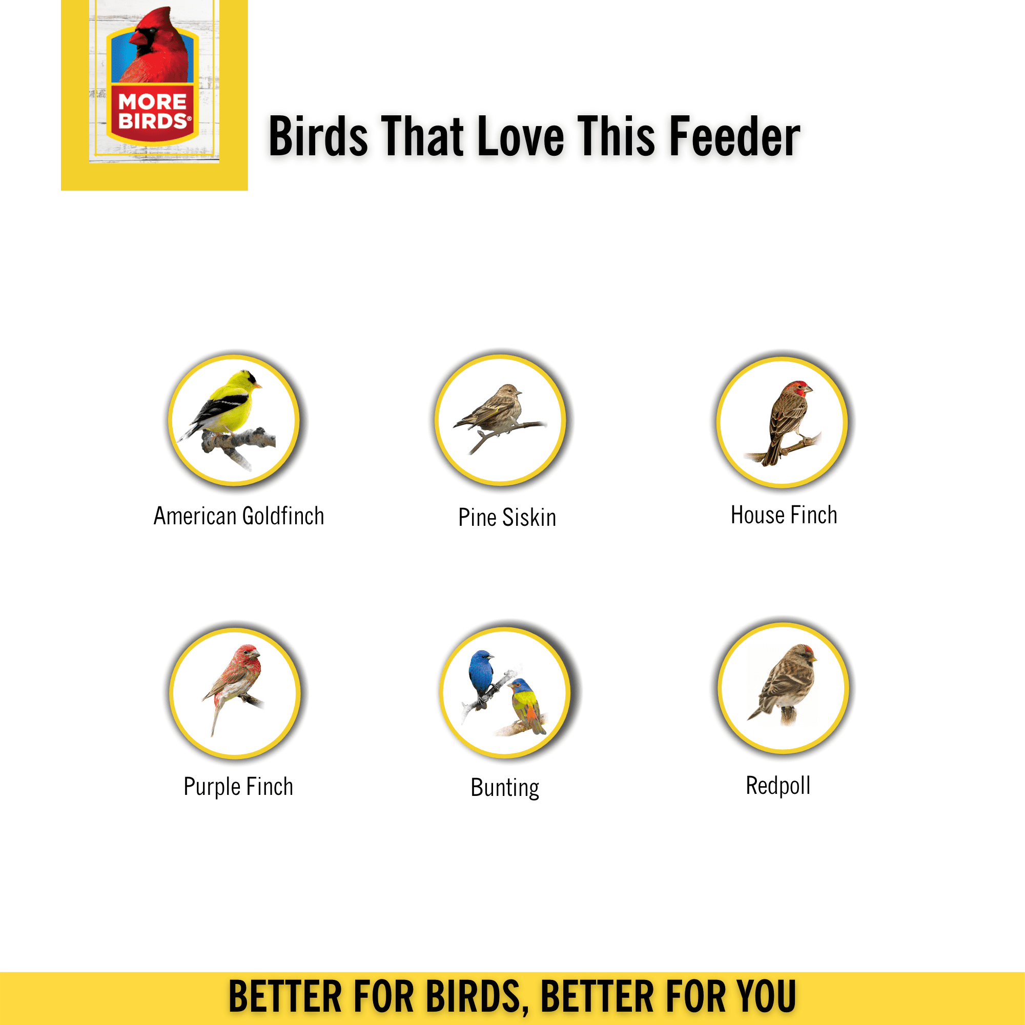 More Birds Little-Bit Finch Screen Bird Feeder， Wild Bird Feeder， .6 lb Seed Capacity