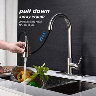 WELLFOR 20 in. Hose Single Handle Gooseneck Pull Down Sprayer Kitchen Faucet with Deckplate Included in Brushed Nickel WA-TH4003NS