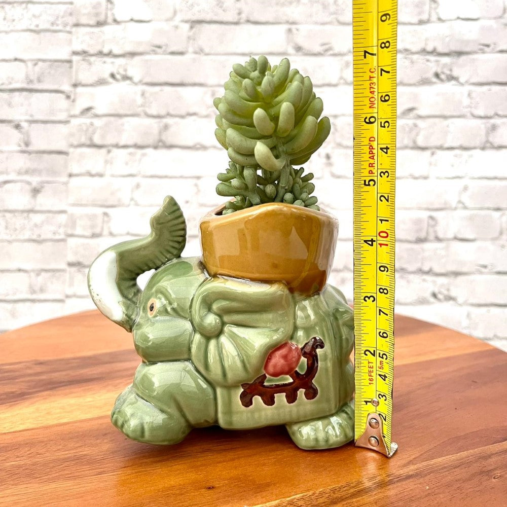 Beautiful Mini Green Succulent-Artificial