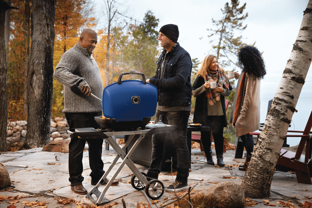 TravelQ™ 285X Portable Propane Gas Grill with Scissor Cart， Blue ;