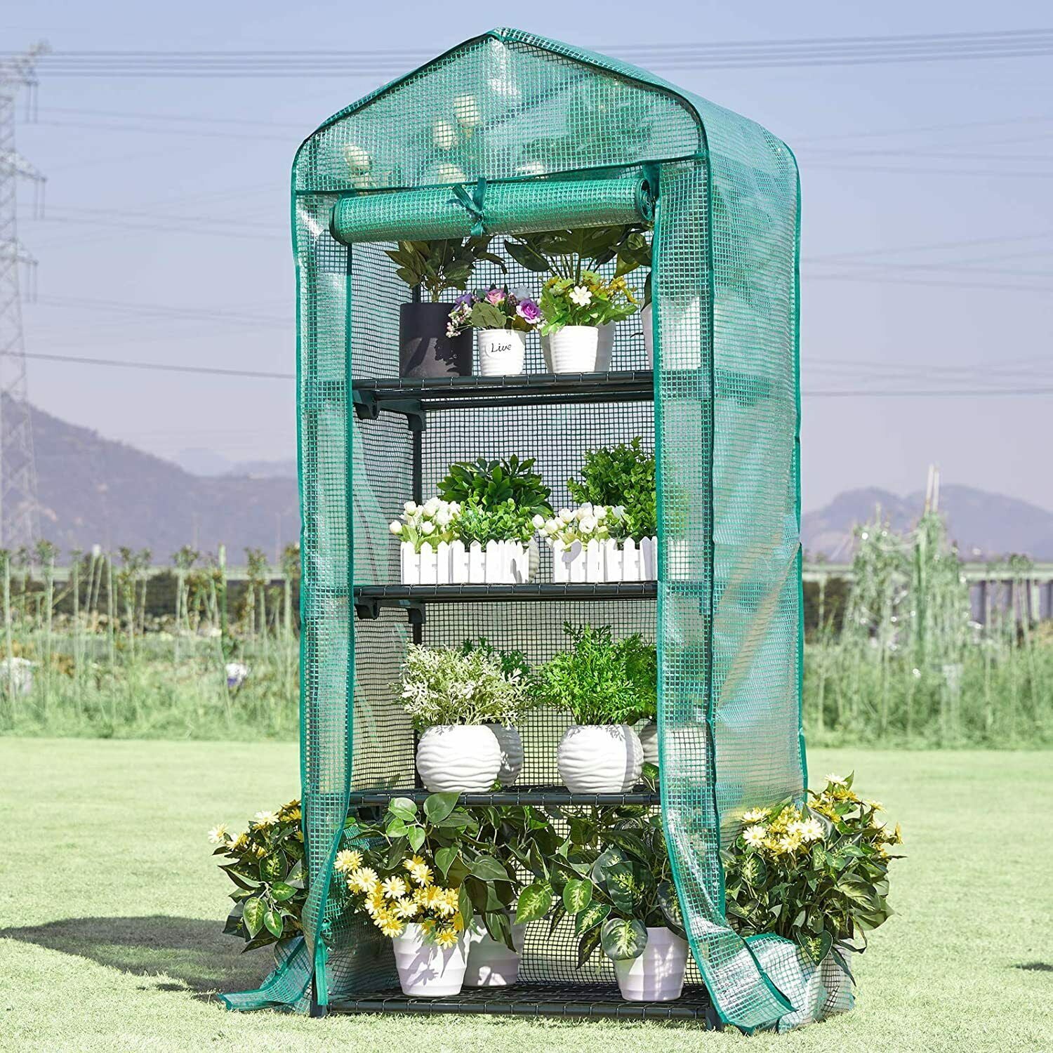 HomeDirect 4 Tier Mini Greenhouse with PE Cover and Roll-Up Zipper Door,26.97Lx19.29Wx62.99''H Small Garden Green House ,Indoor Outdoor Green House for Plants,Grow Seeds & Seedlings