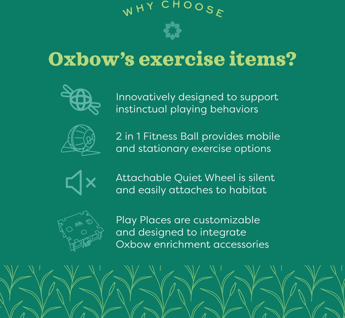 Oxbow Enriched Life 2 in 1 Fitness Ball Small Animal Toy