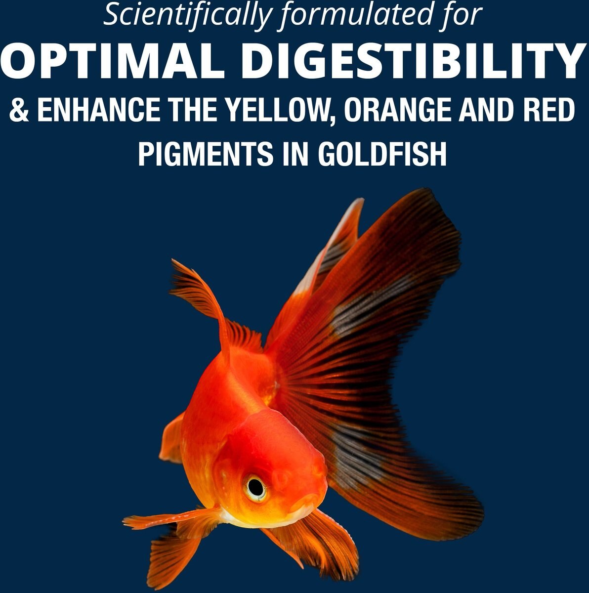 Tetra Goldfish Worm Shaped Bites Fish Food