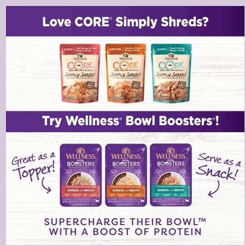 Wellness CORE Simply Shreds Grain-Free Boneless Chicken Wet Cat Food Topper