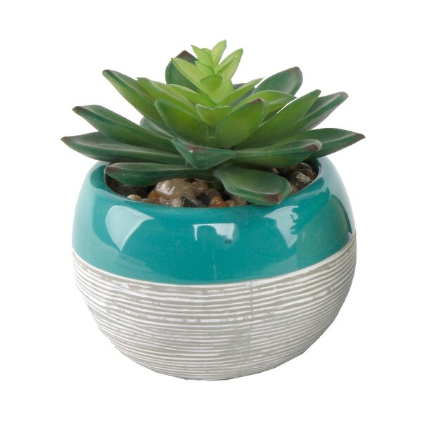 Succulent in Two tone lines pattern ceramic pot ，Teal