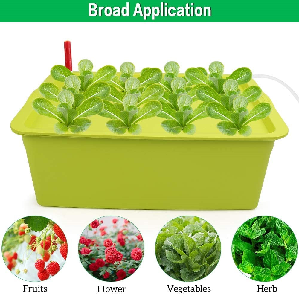 Flantor 12 Sites Bucket Indoor Spots Hydroponic System Growing Kit - Indoor Garden Herb Seed Starting Kit Green