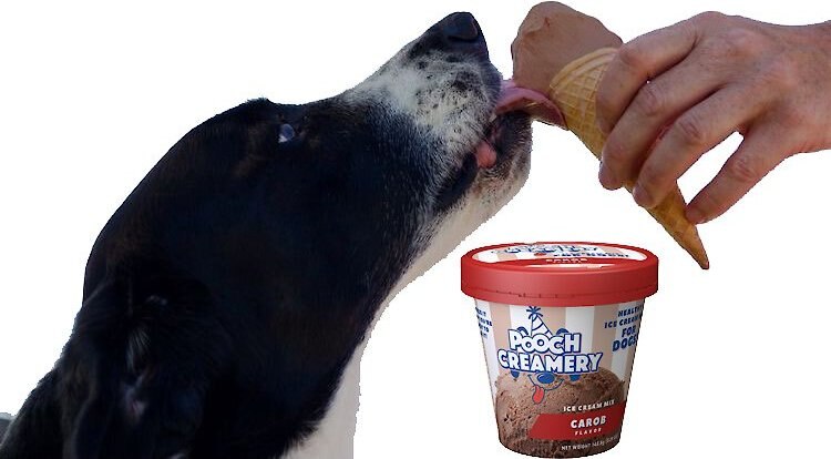 Pooch Creamery Carob Flavor Ice Cream Mix Dog Treat