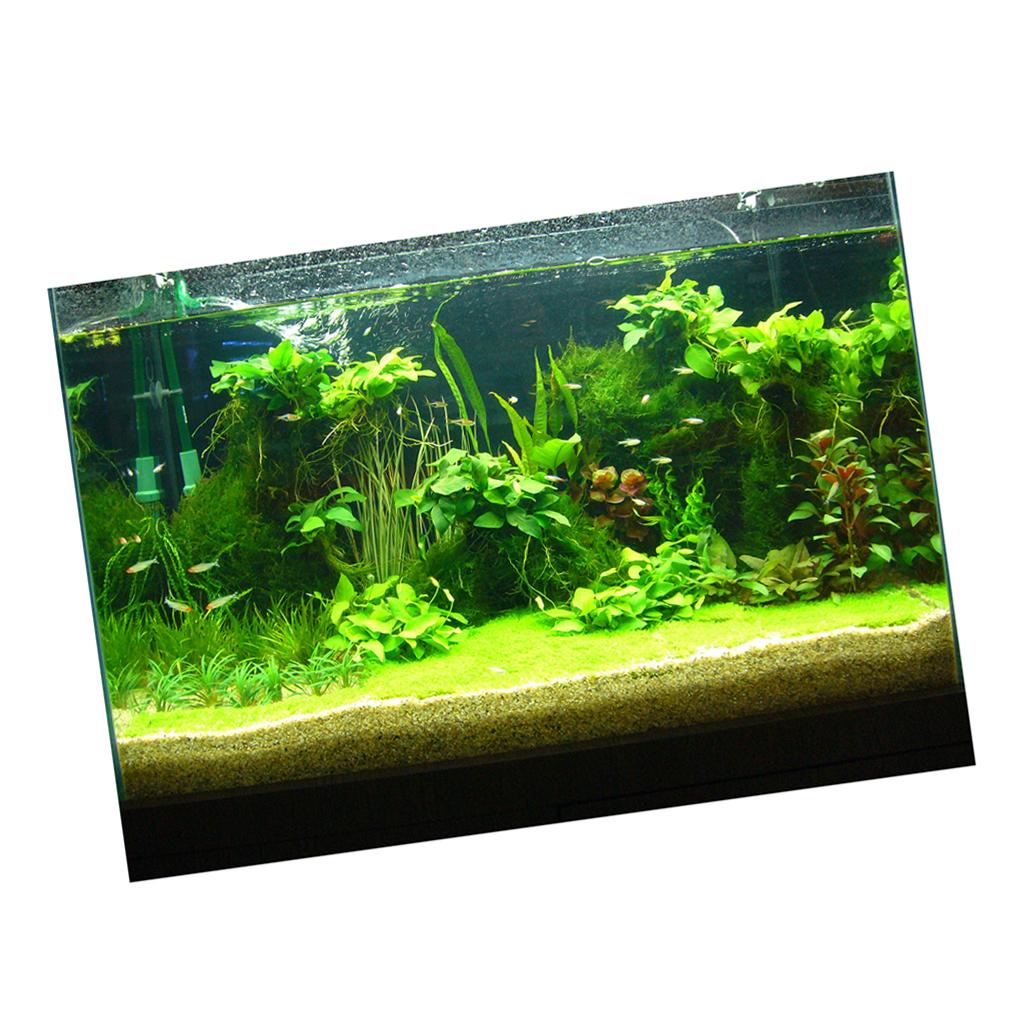 3D Aquarium Universal Landscape Poster Single Sided Fish Background ， 76x46cm