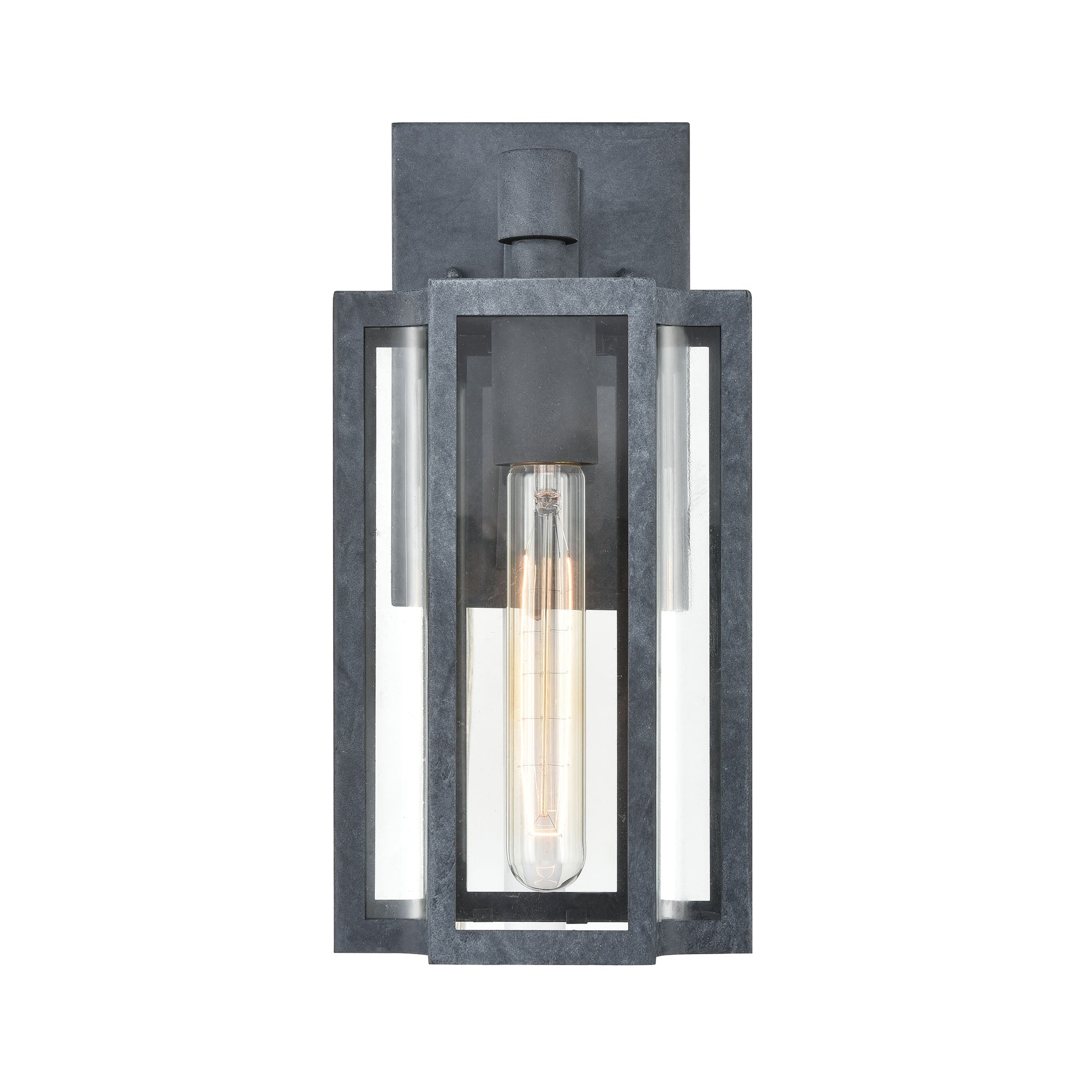 Bianca 1-Light 13 x 7 x 6 Sconce in Aged Zinc with Clear