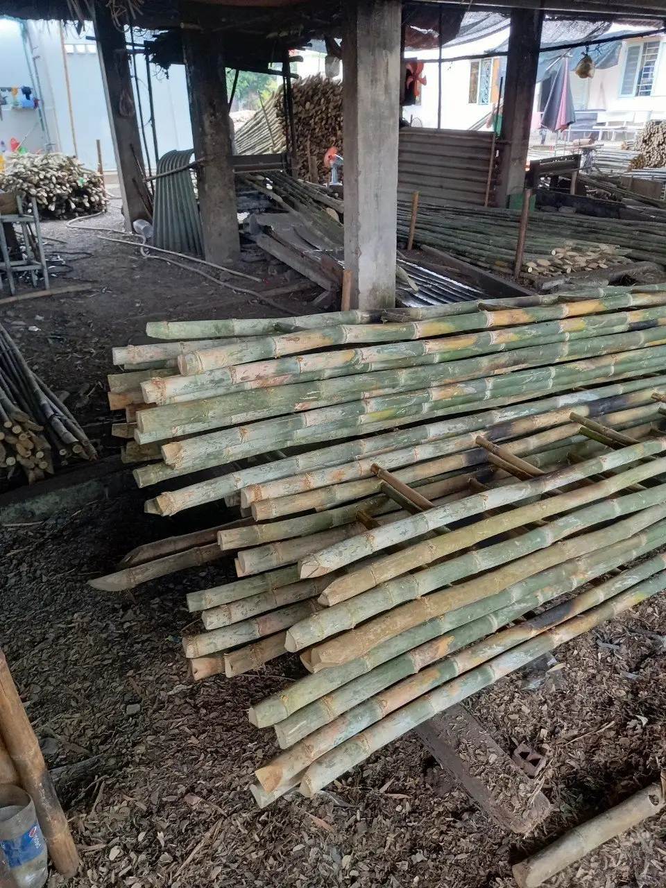 100% Natural Bamboo Poles Vietnam Bamboo Canes for Sale in Large Quantities Bamboo Canes for Garden Supplies