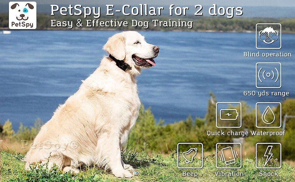 PetSpy P620 2000-ft Easy and Effective Adjustable Waterproof Remote Dog Training Collar