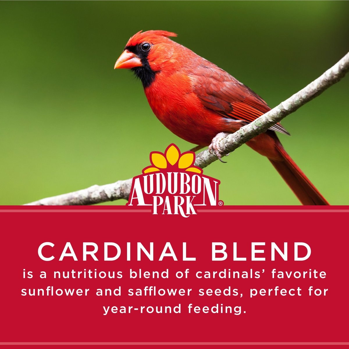 Audubon Park Cardinal Blend Wild Bird Food