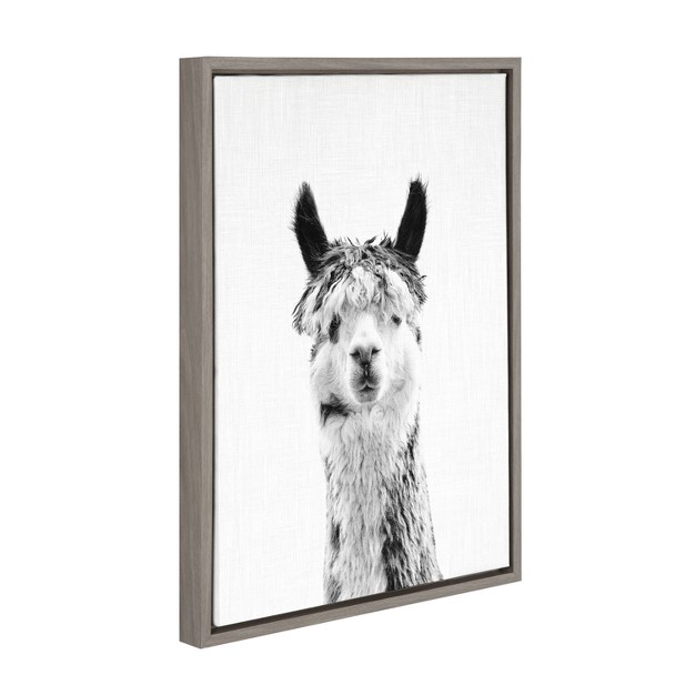 X 24 quot Sylvie Llama Framed Canvas By Simon Te Tai Gray Kate And Laurel