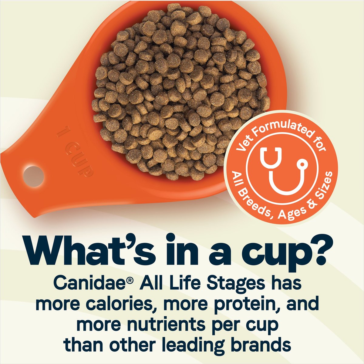 CANIDAE All Life Stages Turkey Meal and Rice Formula Large Breed Dry Dog Food