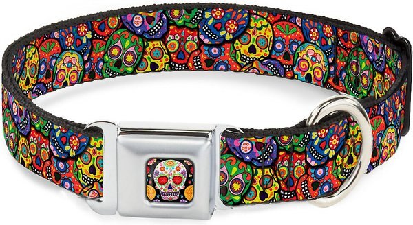 Buckle-Down Sugar Skull Starburst Polyester Dog Collar