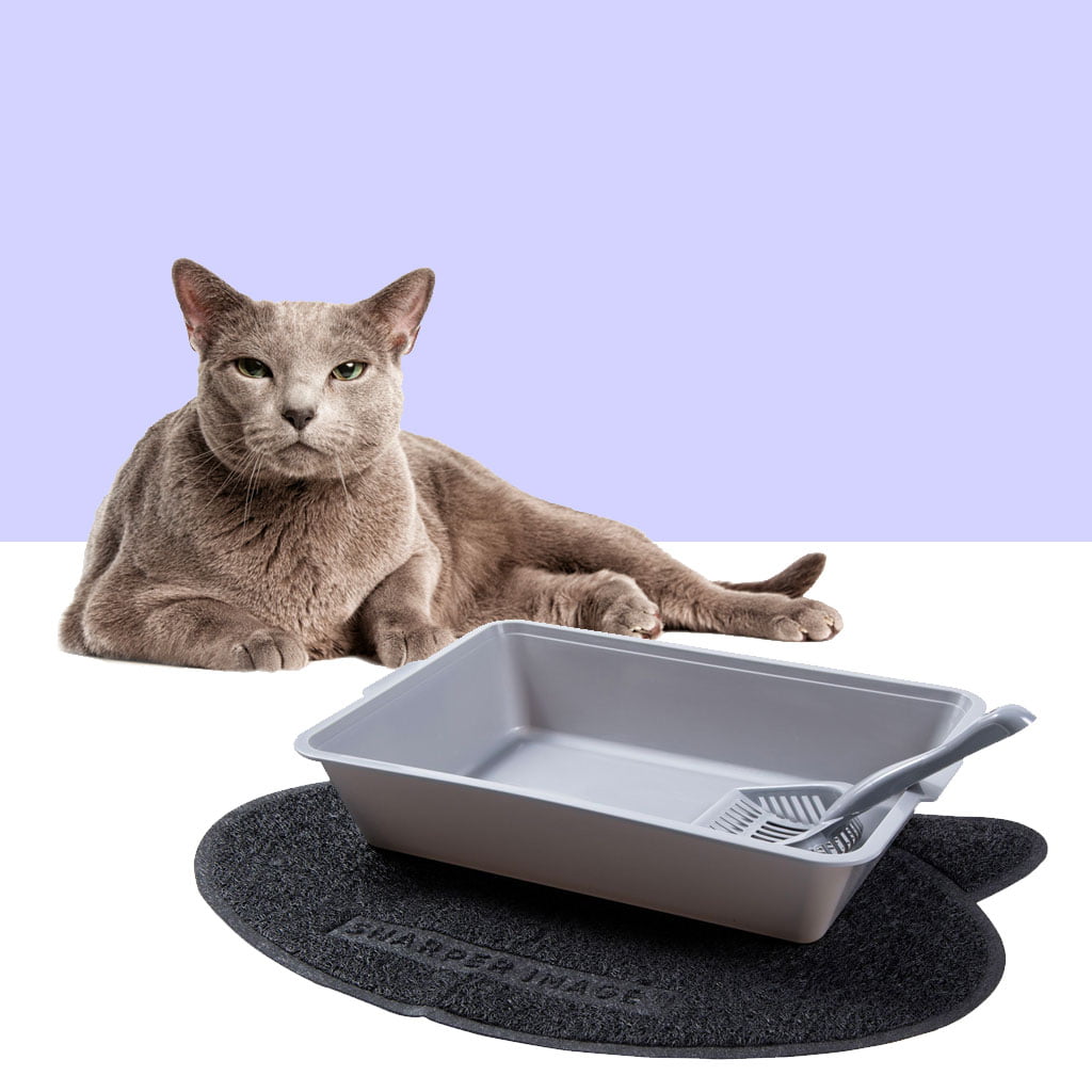 SHARPER IMAGE Litter Box Starter Kit