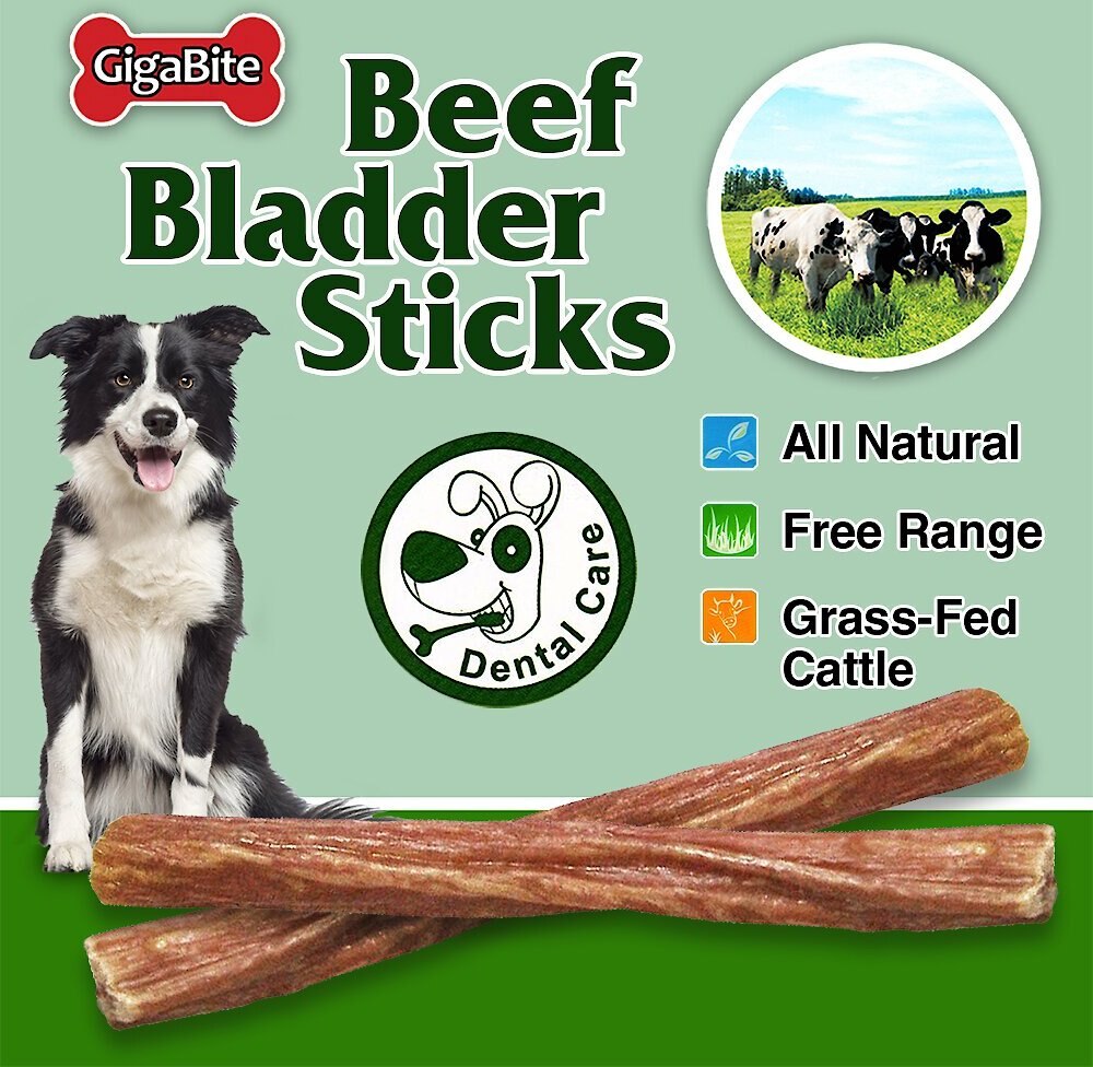 Best Pet Supplies GigaBite Beef Bladder Sticks Dog Treats， 6-inch