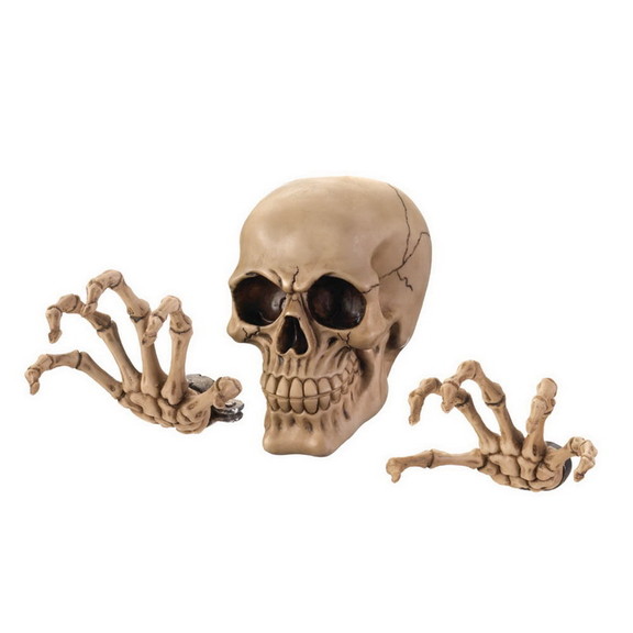 Dragon Crest 57072395 Skeleton Wall Decor Set