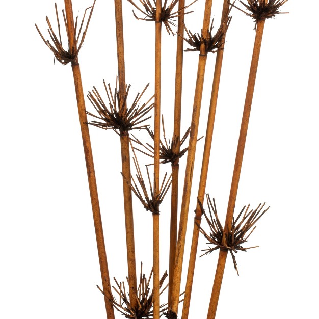 Star Bamboo Reed Stem Dried