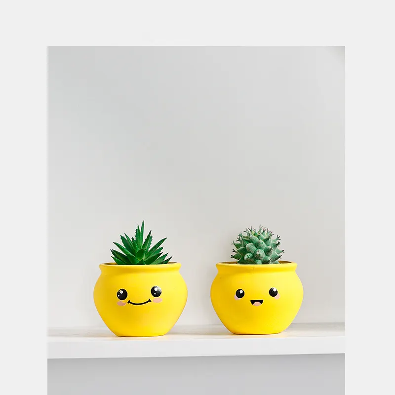 Custom yellow cute expression ceramic indoor succulent planter