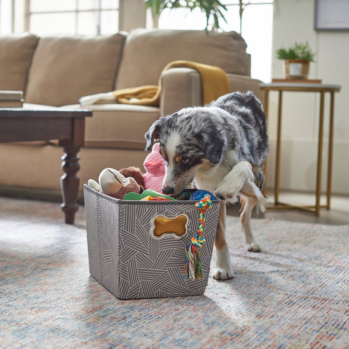 Frisco Rectangle Collapsible Pet Toy Storage Bin， Gray Basket Weave