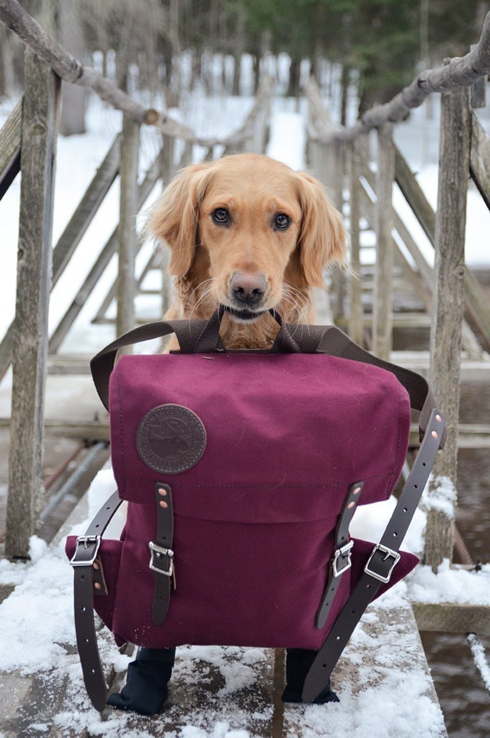 16 Liter Capacity Burgundy Scout Pack ;