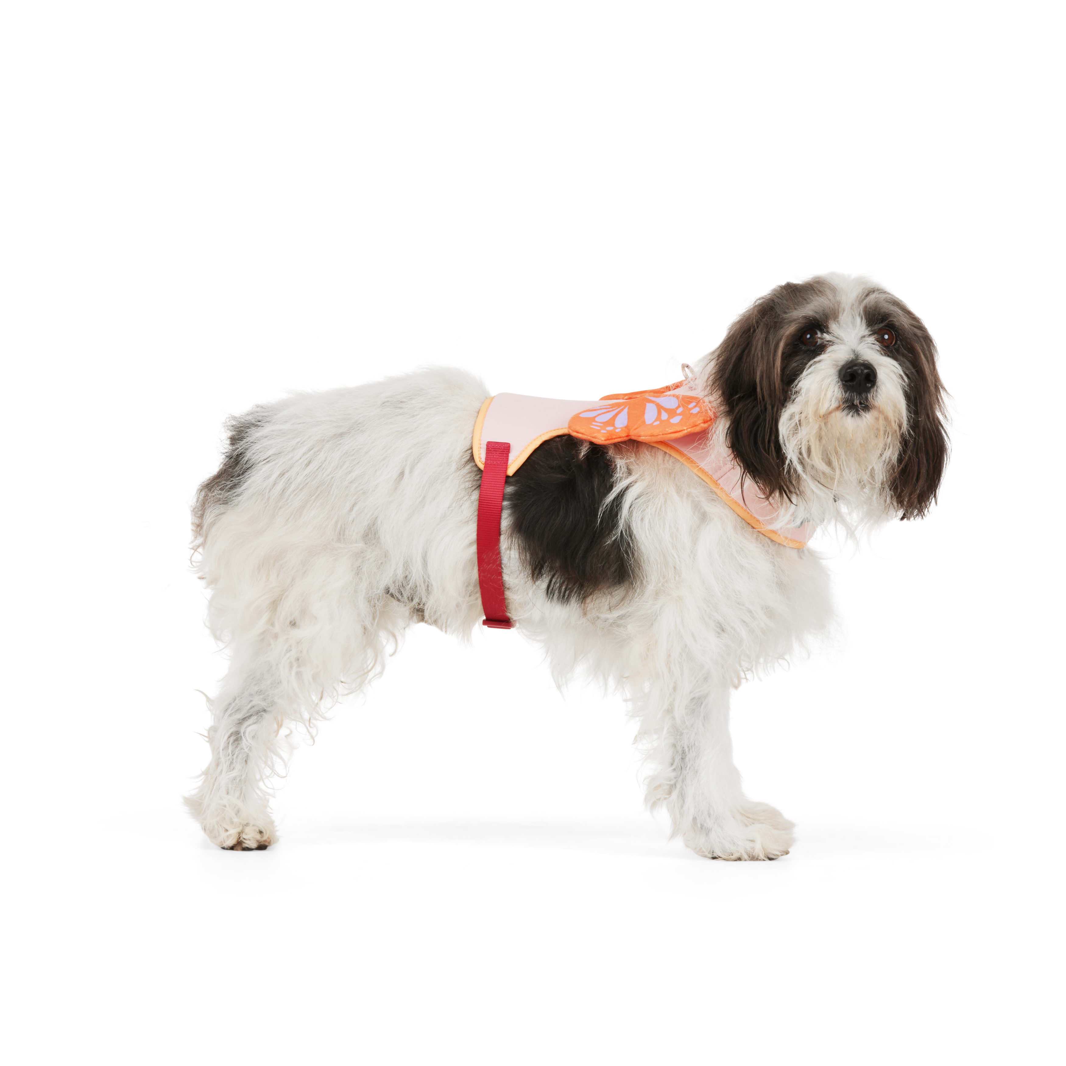 YOULY Butterfly Dog Harness， X-Small