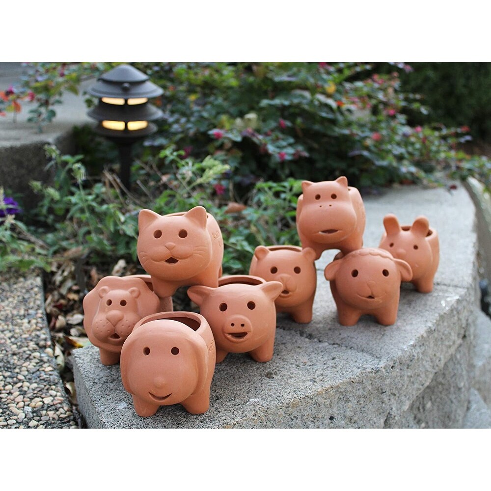 Set of 8 Adorable Terracotta Mini Animal Shaped pots   3.5\