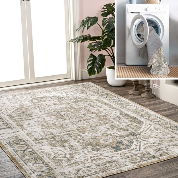 Jonathan Y Keesha Bold Distressed Medallion Low pile Machine washable Indoor Area Rug