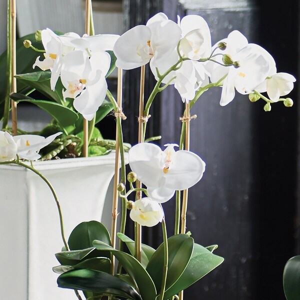 Barclay Butera Phalaenopsis In Ceramic Pot 18.5