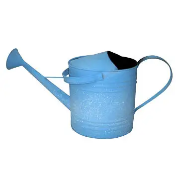 Best Quality Metal Galvanized Water Cans Garden For Farm And Garden Planter Cane Modern Style Factory Rate Customized