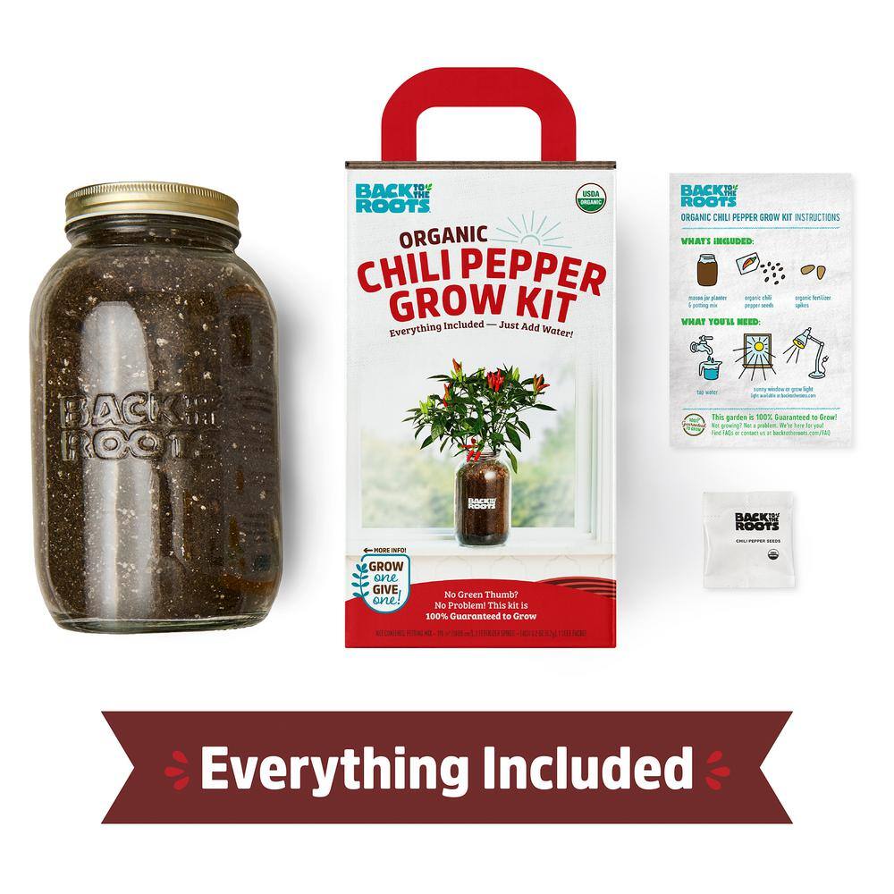 Back to the Roots Windowsill Organic Chili Pepper Grow Kit 25200