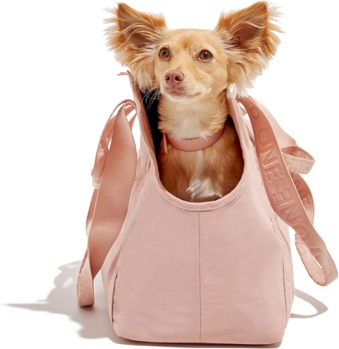 Wild One Cotton Everyday Dog Carrier